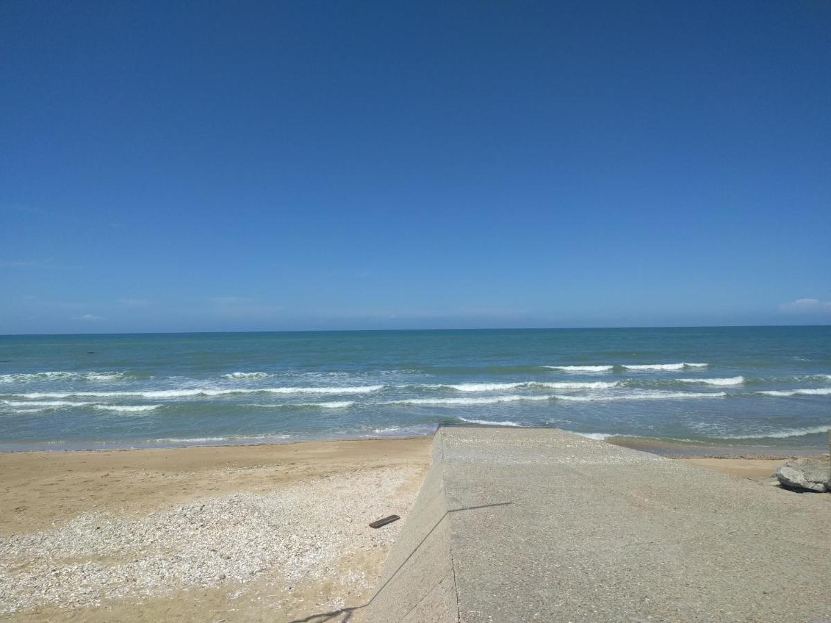 "Le Cocon D'Estelle" Grand Studio Vue Mer, 30M De La Plage 滨海维莱 外观 照片